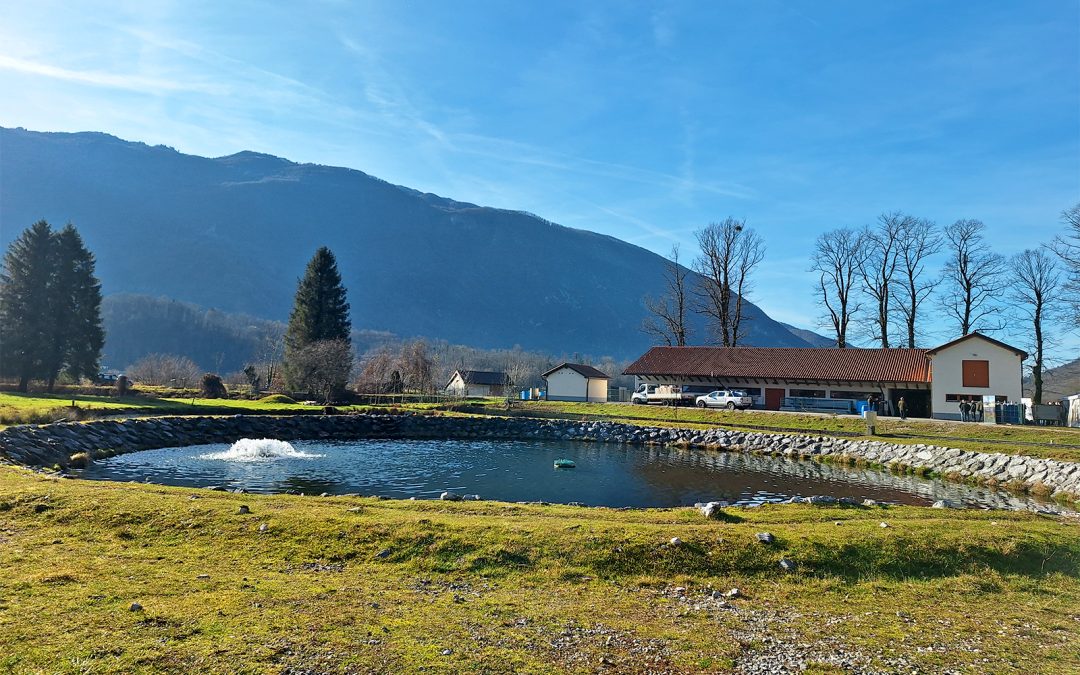 40 let uspešne vzreje genetsko čiste soške postrvi v Kobaridu